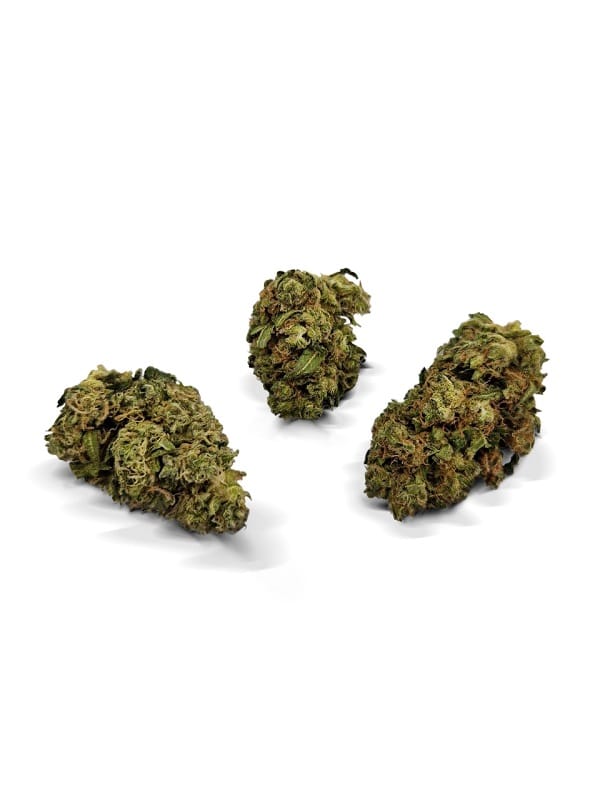 Stardawg OG